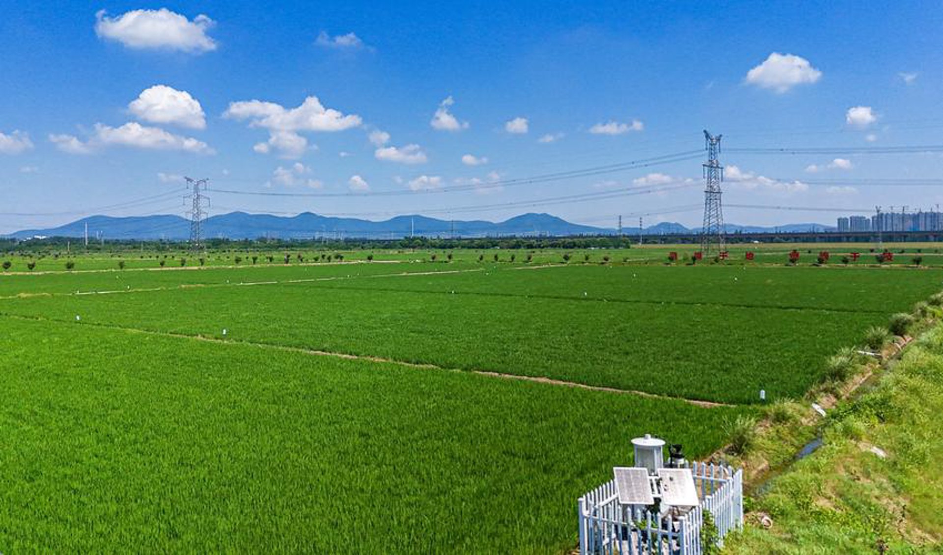 禾润农场